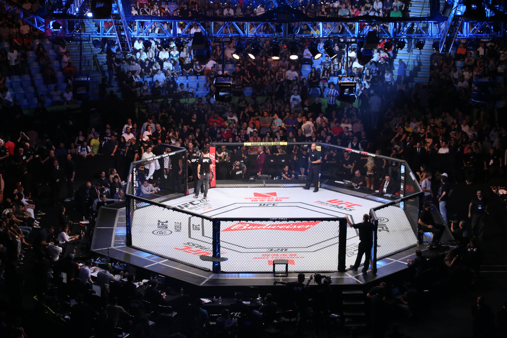 UFC Vegas 93 – Timmy Cuamba x Lucas Almeida – Palpites e Onde Assistir (15/06)