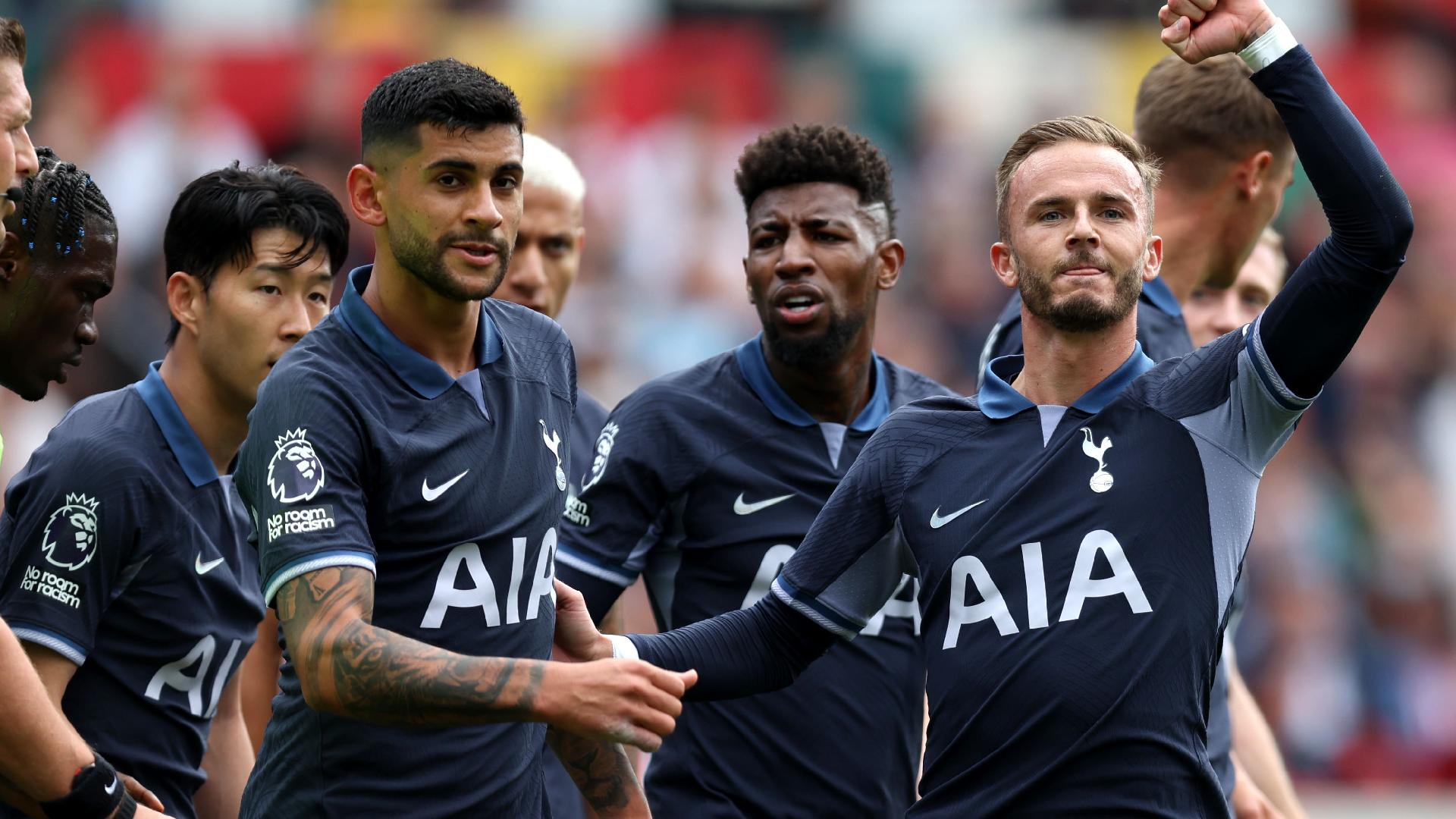 Jogadores do Tottenham celebram gol